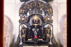 phoca_thumb_l_muni suvrat swamiji
