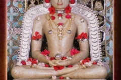 phoca_thumb_l_padam prabhuji
