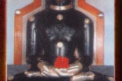 phoca_thumb_l_sumti nath ji