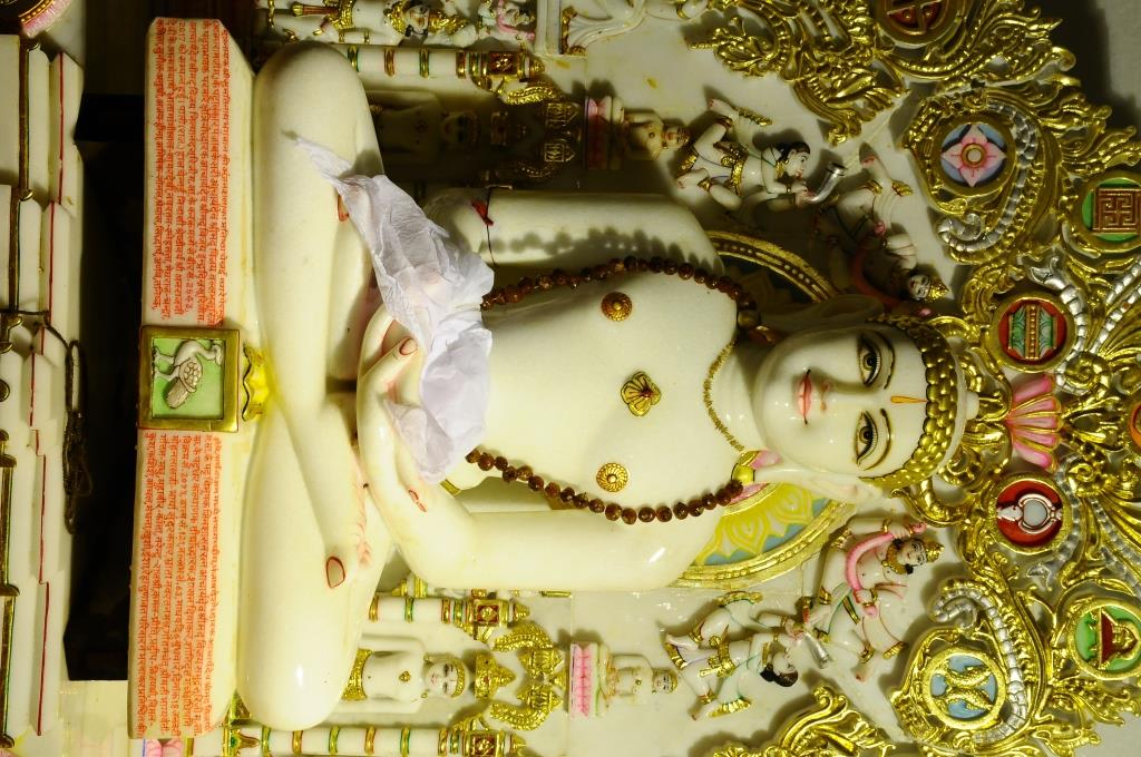 Chennai Sumatinath Pratishtha Mahotsav10