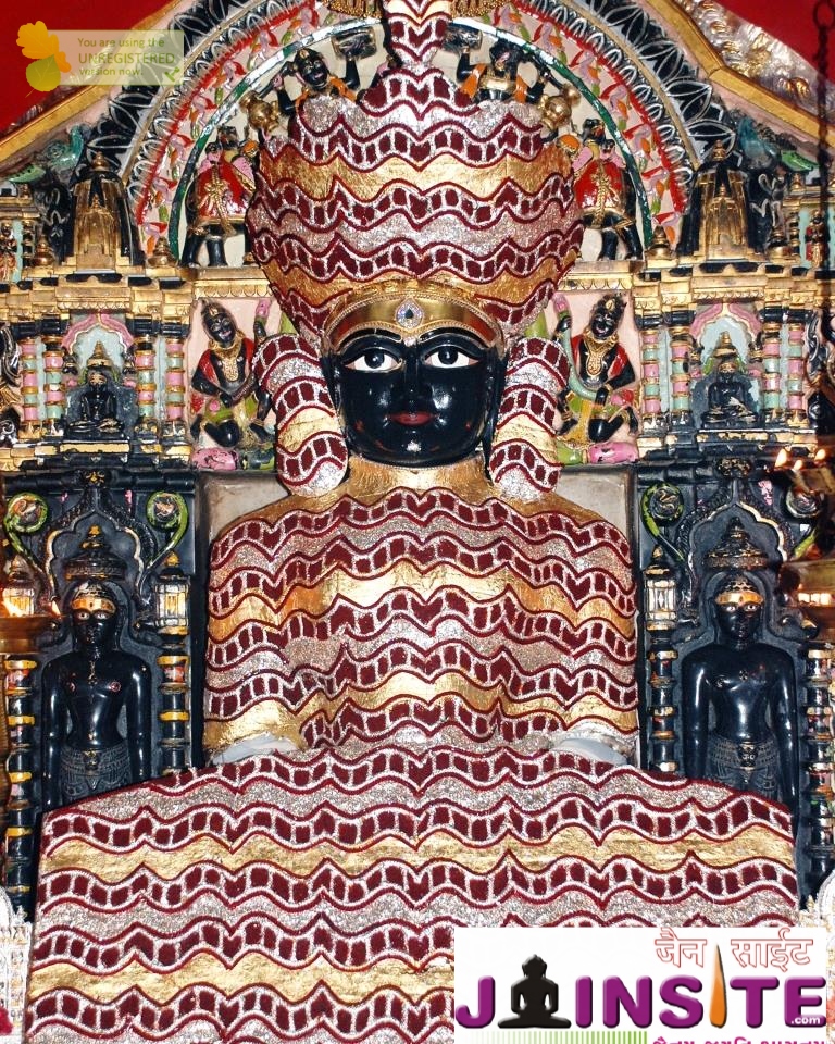 Aangi Of Jain God Munisuvrat Sawami (103)
