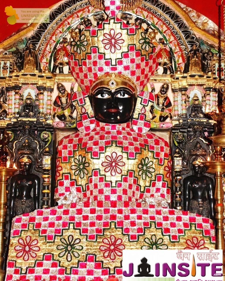 Aangi Of Jain God Munisuvrat Sawami (104)
