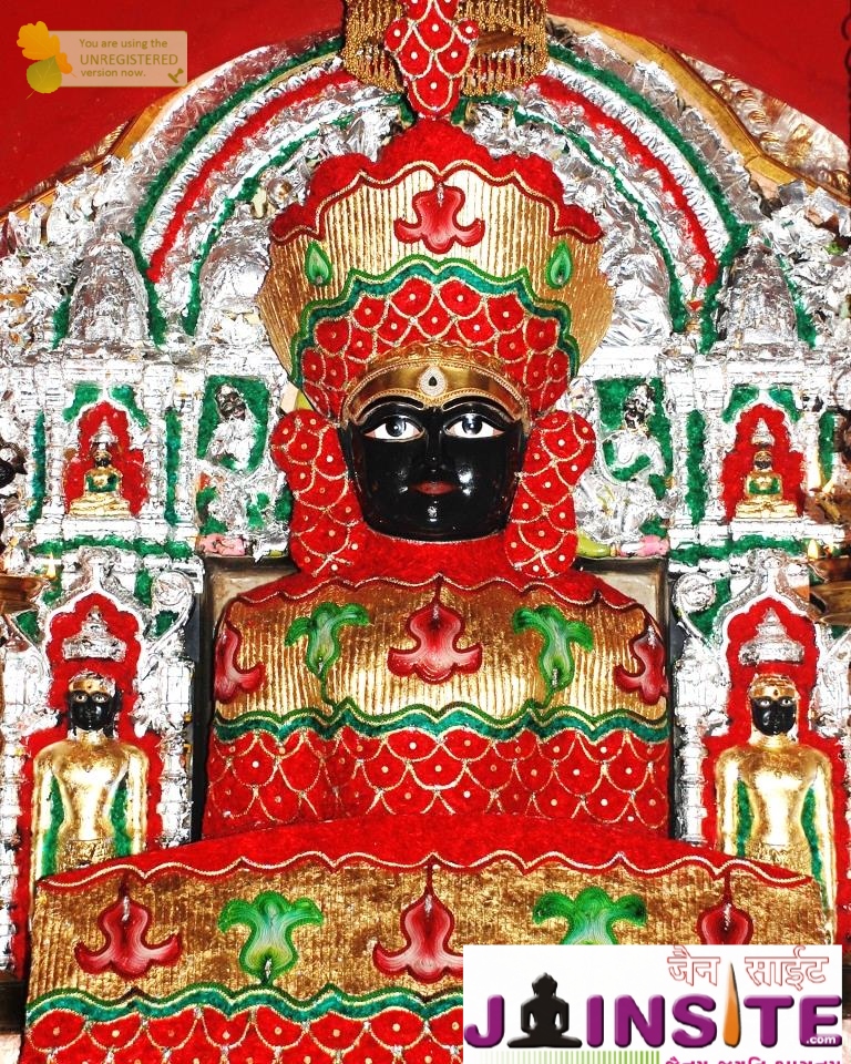 Aangi Of Jain God Munisuvrat Sawami (107)