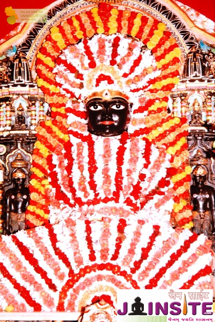 Aangi Of Jain God Munisuvrat Sawami (13)