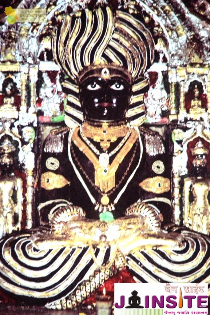 Aangi Of Jain God Munisuvrat Sawami (15)