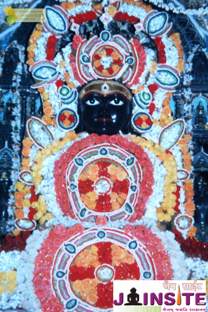 Aangi Of Jain God Munisuvrat Sawami (27)