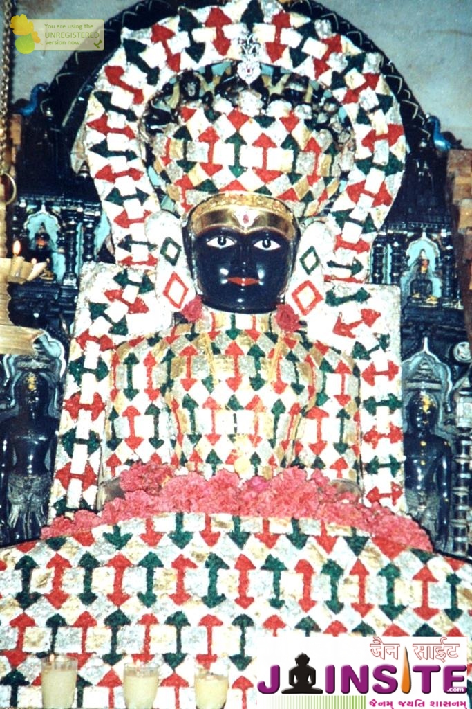 Aangi Of Jain God Munisuvrat Sawami (29)