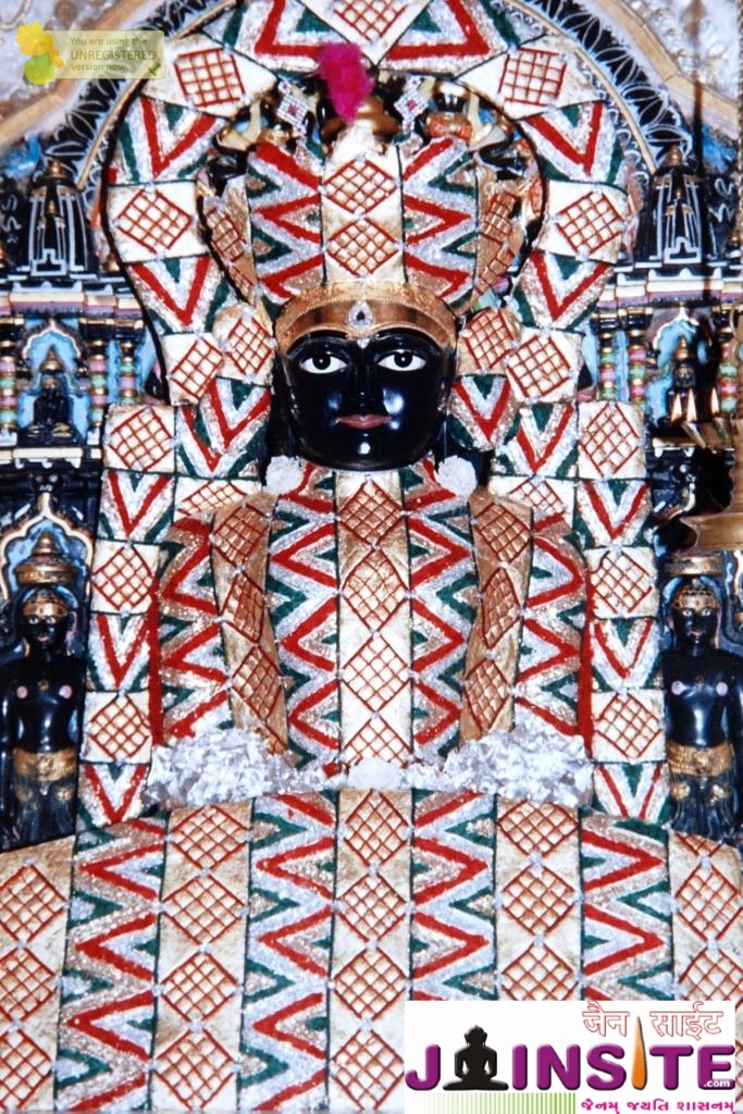 Aangi Of Jain God Munisuvrat Sawami (34)
