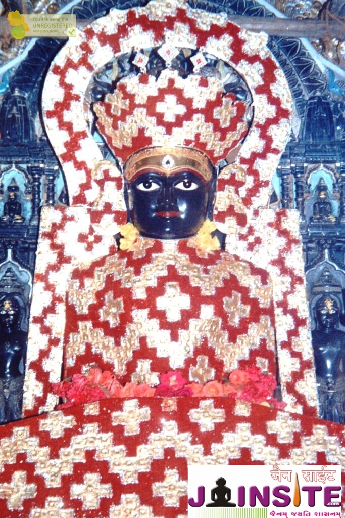 Aangi Of Jain God Munisuvrat Sawami (46)