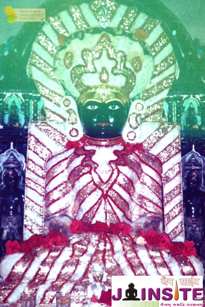 Aangi Of Jain God Munisuvrat Sawami (47)