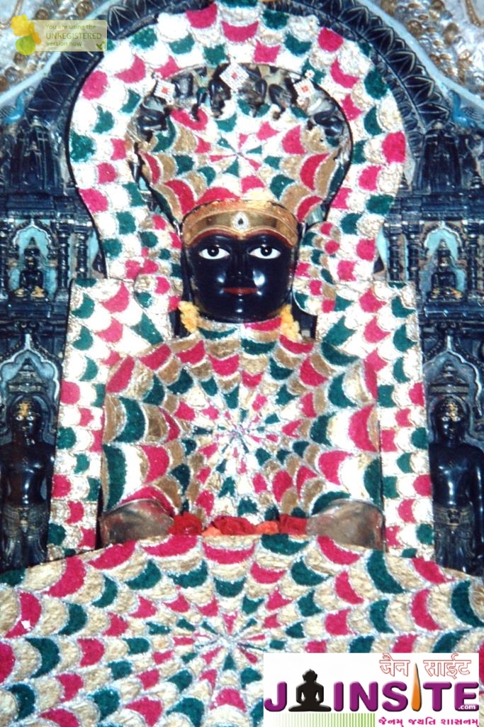 Aangi Of Jain God Munisuvrat Sawami (51)
