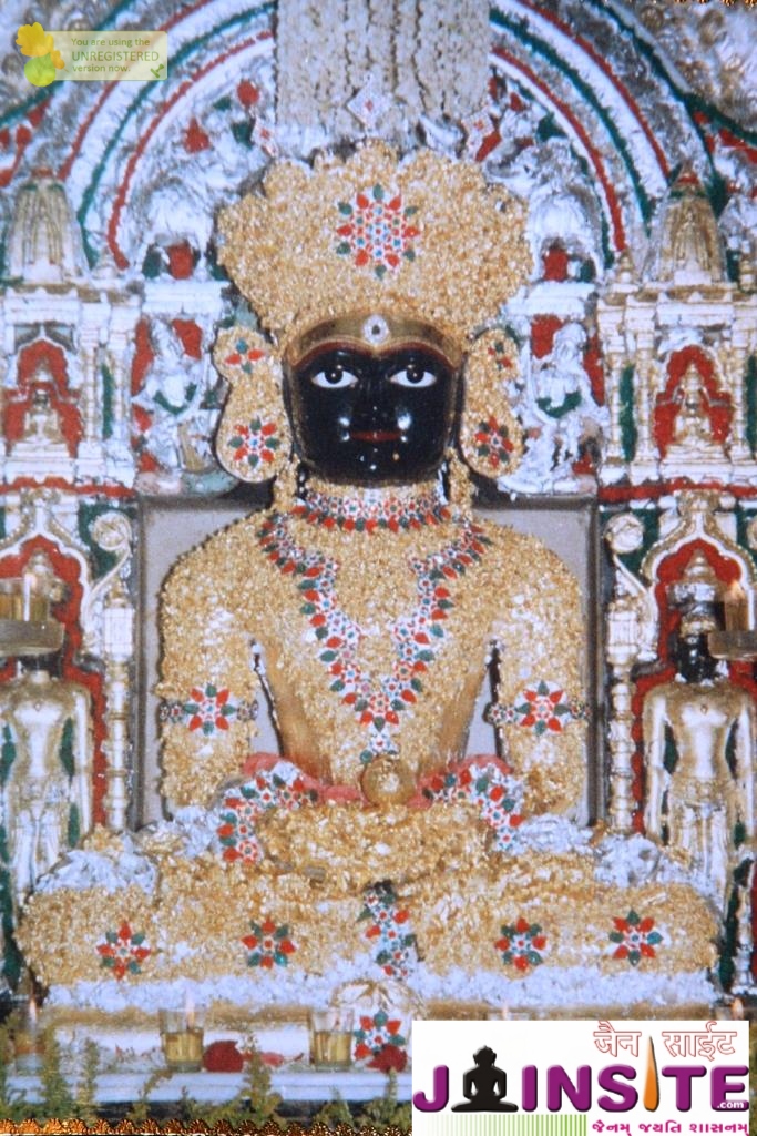 Aangi Of Jain God Munisuvrat Sawami (61)