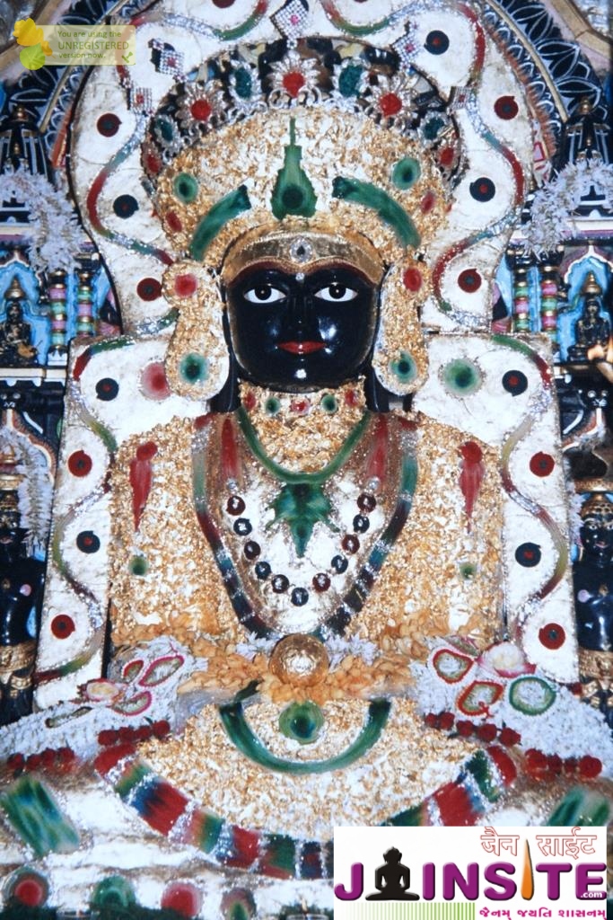 Aangi Of Jain God Munisuvrat Sawami (65)