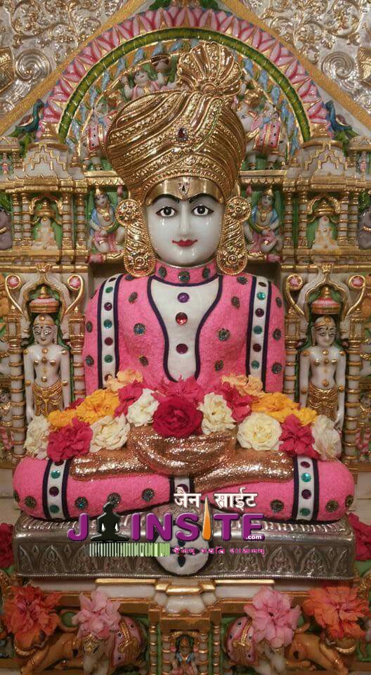 Jain aangi pic