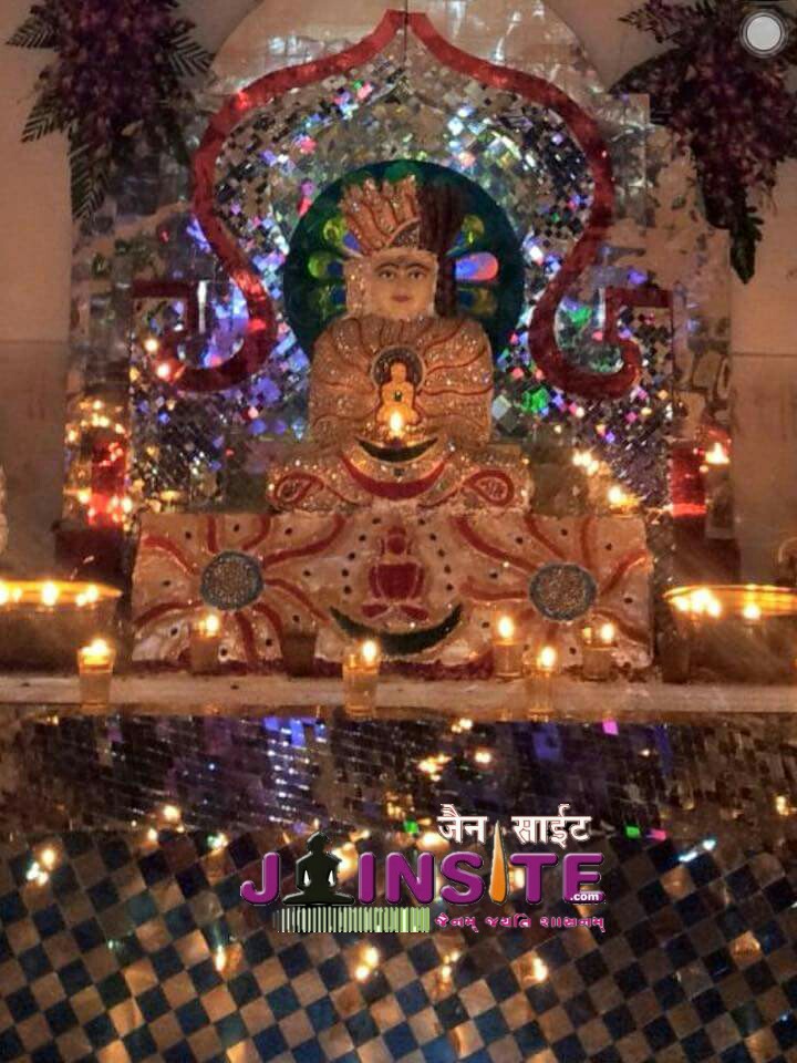 Jain prabhu aangi image