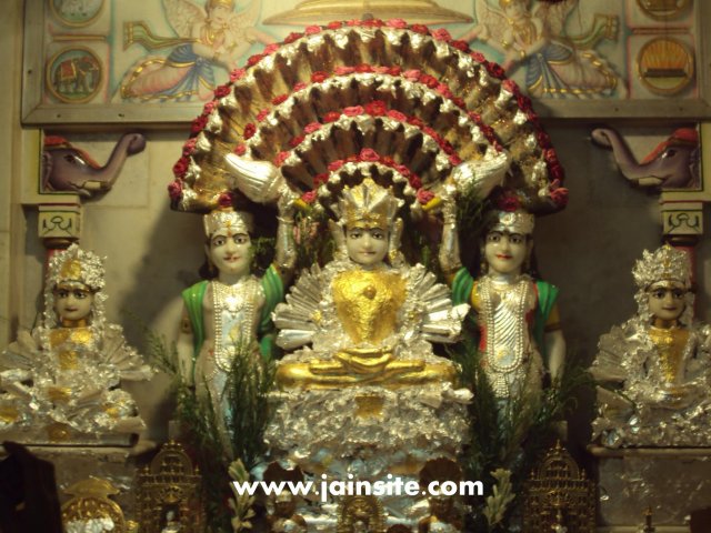 phoca_thumb_l_aangi-photo-10