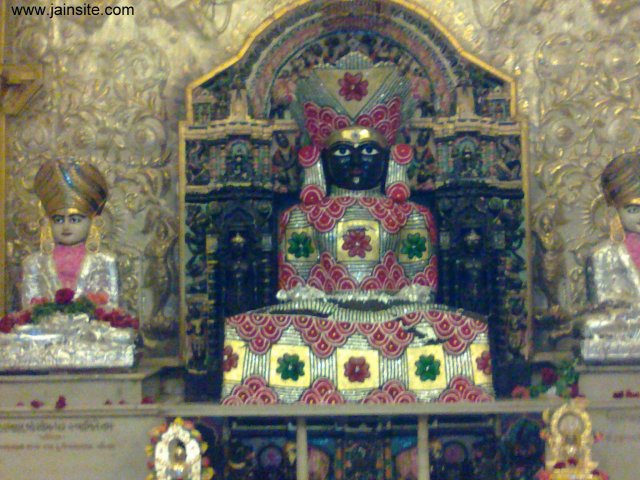 phoca_thumb_l_jain-aangi-photo