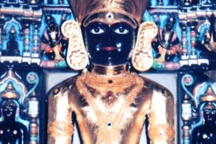 Aangi Of Jain God Munisuvrat Sawami (10)