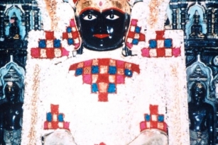 Aangi Of Jain God Munisuvrat Sawami (119)