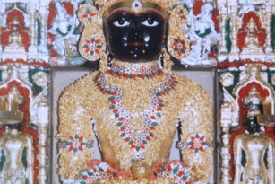 Aangi Of Jain God Munisuvrat Sawami (61)