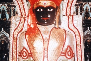 Aangi Of Jain God Munisuvrat Sawami (66)