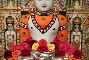 Jain aangi photos