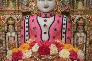 Jain aangi pic
