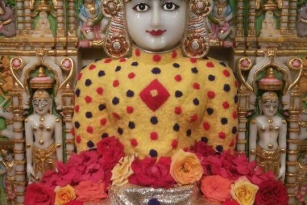 Jain bhagwan aangi photo
