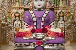 Jain bhagwan's angi image