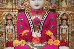 Jain idols aangi pics