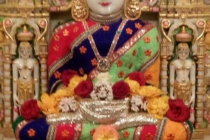 Jain prabhu aangi images