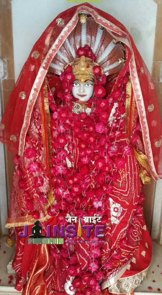 Jain devi s pic