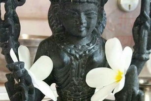 Jain devi photos