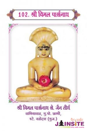 102. Vimal Parshwanath